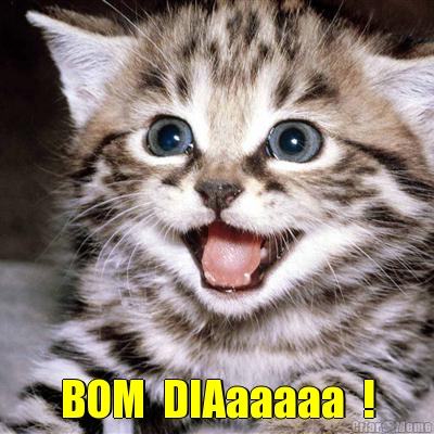  BOM  DIAaaaaa  !