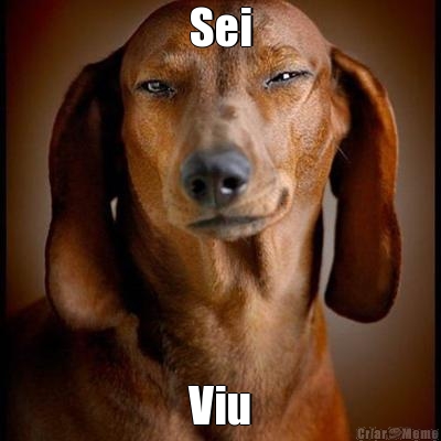 Sei Viu