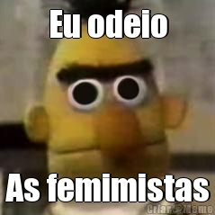 Eu odeio As femimistas