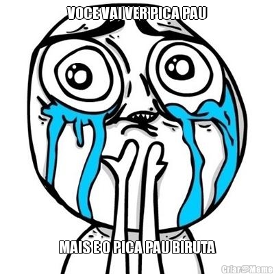 VOCE VAI VER PICA PAU MAIS E O PICA PAU BIRUTA