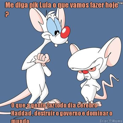 Me diga pik Lula o que vamos fazer hoje
? O que a gente faz todo dia c�rebro
Haddad , destruir o governo e dominar o
mundo 