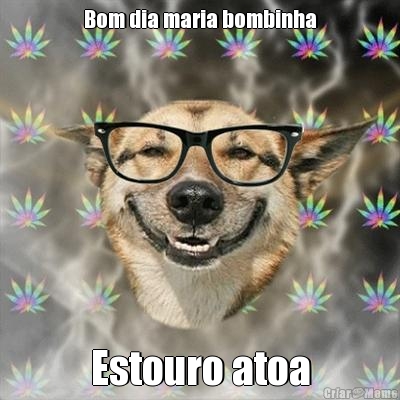 Bom dia maria bombinha Estouro atoa