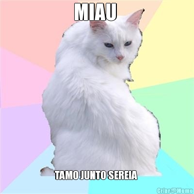 MIAU  TAMO JUNTO SEREIA 