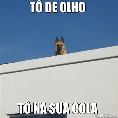 T� DE OLHO  T� NA SUA COLA 