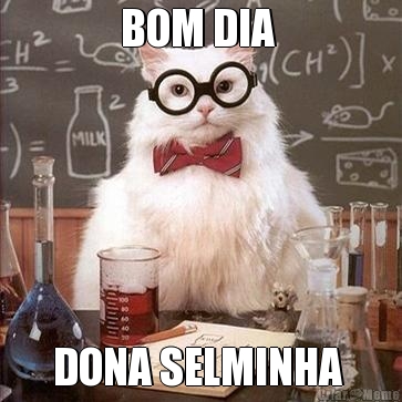 BOM DIA  DONA SELMINHA 