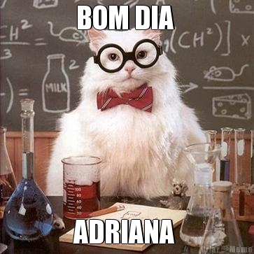 BOM DIA  ADRIANA 