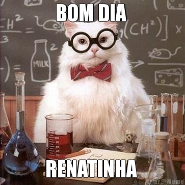 BOM DIA  RENATINHA 