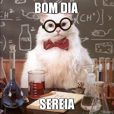 BOM DIA  SEREIA