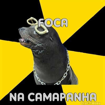 FOCA NA CAMAPANHA
