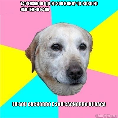 T� PENSANDO QUE EU SOU BOBO? DE BOBO EU
N�O TENHO NADA EU SOU CACHORRO E SOU CACHORRO DE RA�A