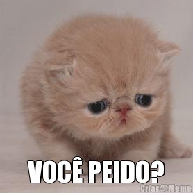  VOC� PEIDO?