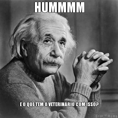 HUMMMM E O QUE TEM O VETERIN�RIO COM ISSO?
