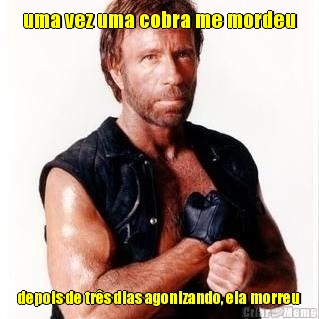 uma vez uma cobra me mordeu depois de tr�s dias agonizando, ela morreu