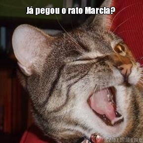J� pegou o rato Marcia?  
