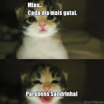Miau...
Cada dia mais gata!. Parab�ns Sandrinha! 