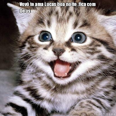 Vov� te ama Lucas boa noite ,fica com
Deus 