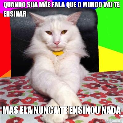 QUANDO SUA M�E FALA QUE O MUNDO VAI TE
ENSINAR MAS ELA NUNCA TE ENSINOU NADA