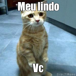 Meu lindo Vc