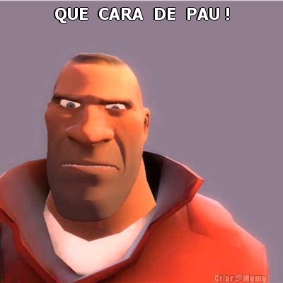 QUE  CARA  DE  PAU ! 