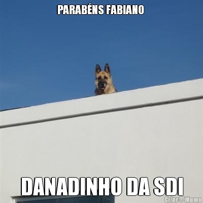 PARAB�NS FABIANO  DANADINHO DA SDI