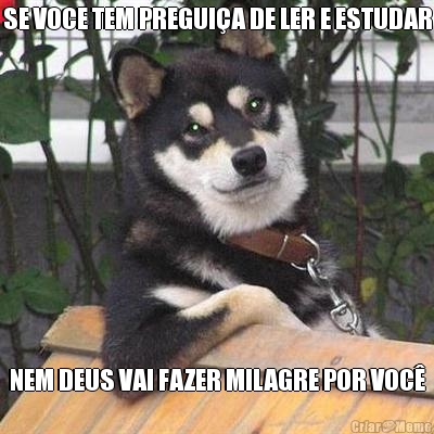 SE VOCE TEM PREGUI�A DE LER E ESTUDAR NEM DEUS VAI FAZER MILAGRE POR VOC�