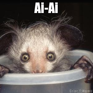 Ai-Ai 