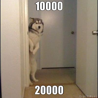 10000 20000