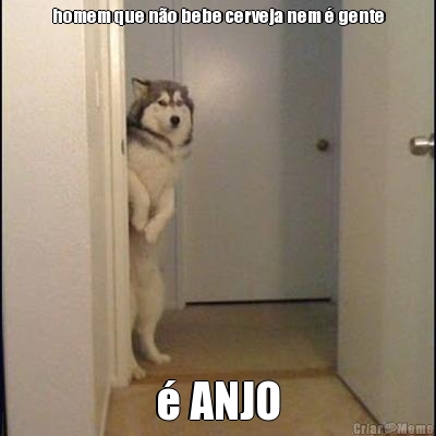 homem que n�o bebe cerveja nem � gente � ANJO