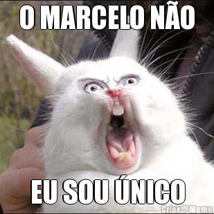 O MARCELO N�O EU SOU �NICO