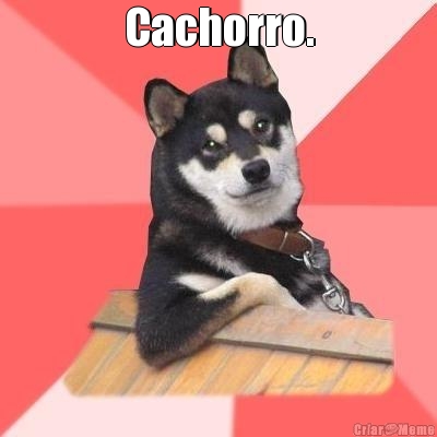 Cachorro. 