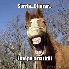 Sorria...Chorar... Entope o nariz!!!