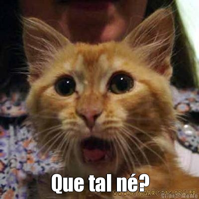  Que tal n�?