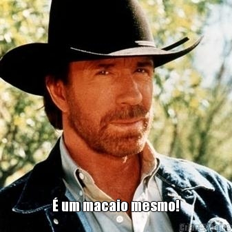  � um macaio mesmo!