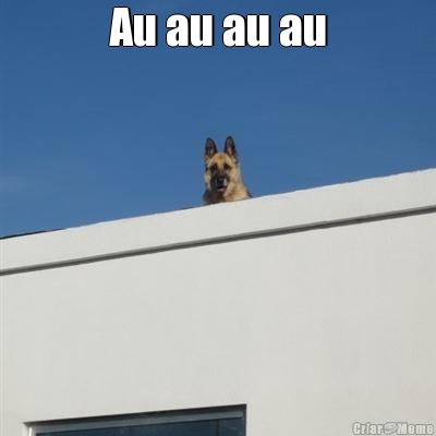 Au au au au 