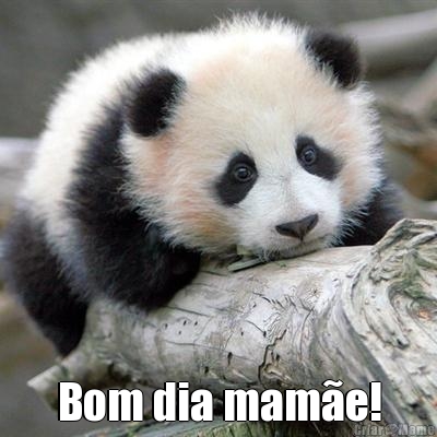  Bom dia mam�e!