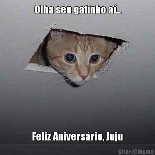 Olha seu gatinho a�... Feliz Anivers�rio, Juju