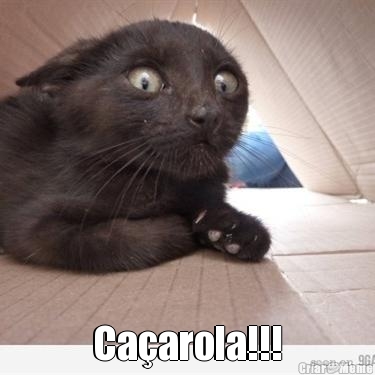 Ca�arola!!!