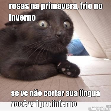 rosas na primavera, frio no
inverno se vc n�o cortar sua lingua
voc� vai pro inferno