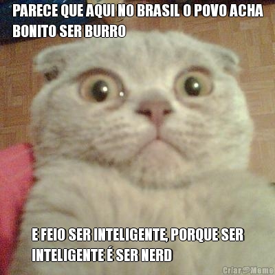 PARECE QUE AQUI NO BRASIL O POVO ACHA
BONITO SER BURRO E FEIO SER INTELIGENTE, PORQUE SER
INTELIGENTE � SER NERD