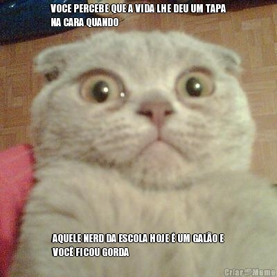 VOCE PERCEBE QUE A VIDA LHE DEU UM TAPA
NA CARA QUANDO AQUELE NERD DA ESCOLA HOJE � UM GAL�O E
VOC� FICOU GORDA
