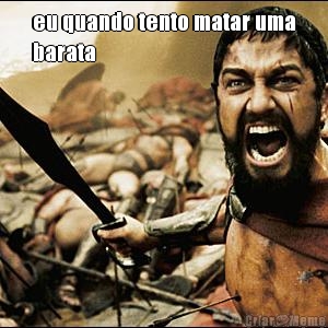 eu quando tento matar uma
barata 