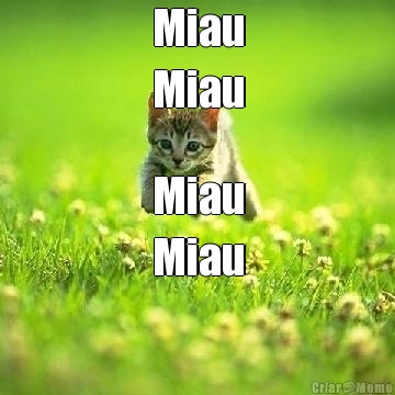 Miau
Miau Miau
Miau