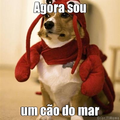 Agora sou um c�o do mar