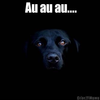  Au au au.... 