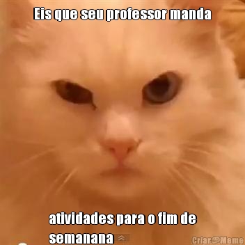 Eis que seu professor manda atividades para o fim de
semanana