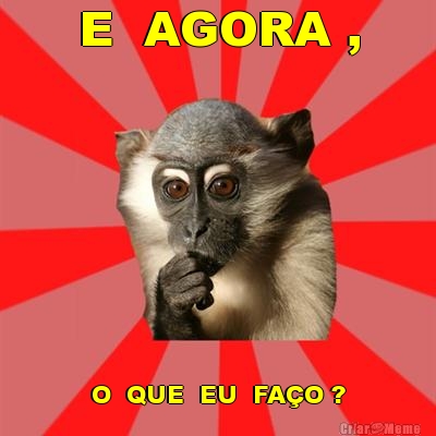 E  AGORA , O  QUE  EU  FA�O ?