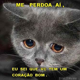 ME   PERDOA  A� , EU  SEI  QUE  VC  TEM  UM 
CORA��O  BOM .