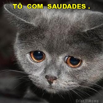 T�  COM  SAUDADES . 