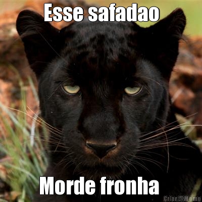 Esse safadao Morde fronha 