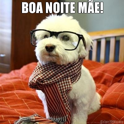 BOA NOITE M�E! 